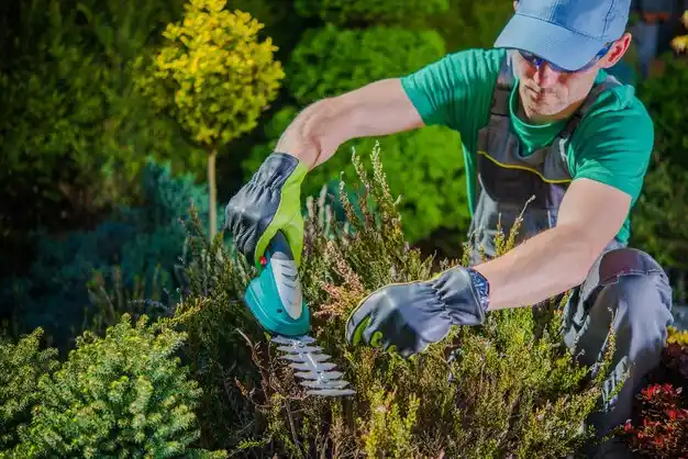 landscaping services Hunting Valley